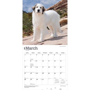 May include: A 2027 wall calendar for the month of March featuring a large, white Great Pyrenees dog standing on a rocky landscape. The calendar grid displays the days of the month with clear black text and includes small paw print accents.