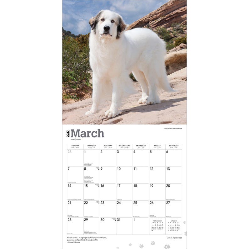 May include: A 2027 wall calendar for the month of March featuring a large, white Great Pyrenees dog standing on a rocky landscape. The calendar grid displays the days of the month with clear black text and includes small paw print accents.