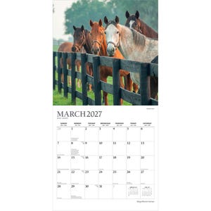 K&ouml;nnte beinhalten: Ein Wandkalender f&uuml;r M&auml;rz 2027 mit einem Foto von vier Pferden, die hinter einem schwarzen Holzzaun stehen. Die Pferde sind braun, fuchsfarben und wei&szlig;. Das Kalenderraster zeigt die Tage des Monats mit dem Text MARCH 2027 am oberen Rand.