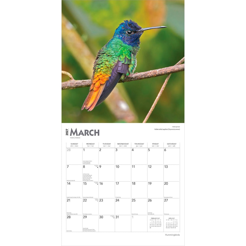 K&ouml;nnte beinhalten: Ein farbenfroher Kalender f&uuml;r M&auml;rz 2027 mit einem Kolibri. Der Vogel, der auf einem Ast sitzt, zeigt schillernde gr&uuml;ne, blaue und orangefarbene Federn. Der Kalender hat ein monatliches Layout mit Daten und Wochentagen.
