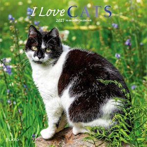 May include: A 2027 16-month calendar titled I Love CATS featuring a black and white cat sitting on a rock. The cover displays the cat in a green field with purple flowers, the text I Love CATS, the year 2027, and the brand name Plato at the bottom.