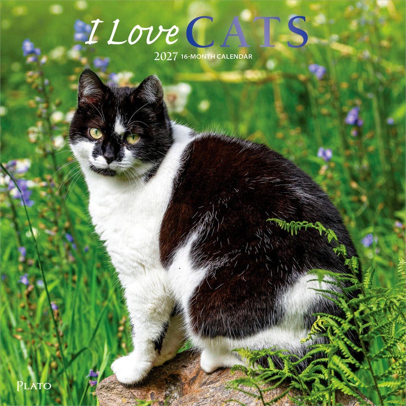 May include: A 2027 16-month calendar titled I Love CATS featuring a black and white cat sitting on a rock. The cover displays the cat in a green field with purple flowers, the text I Love CATS, the year 2027, and the brand name Plato at the bottom.