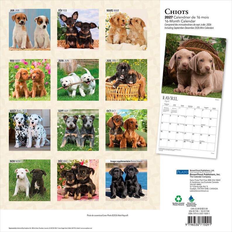 May include: A 2027 16-month calendar titled Chiots featuring various puppy breeds throughout the year. The back cover displays monthly photo grids of puppies, including a large image of two Weimaraner puppies and an April calendar grid.