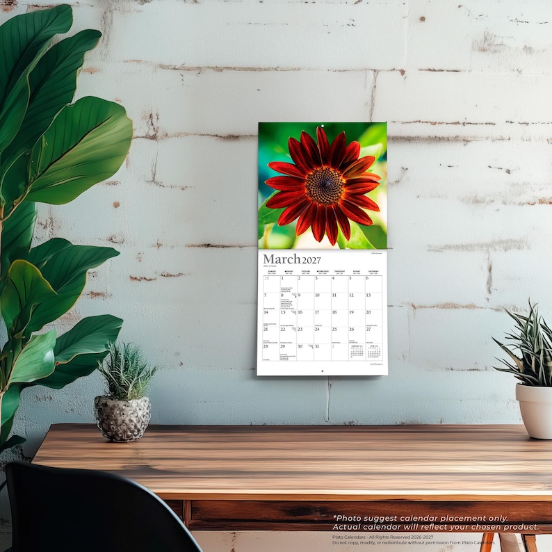 Puede incluir: Un calendario de pared para marzo de 2027 que presenta un girasol rojo intenso y vibrante con un centro oscuro en la parte superior. La cuadr&iacute;cula del calendario muestra los d&iacute;as del mes en texto negro sobre fondo blanco, con el t&iacute;tulo Marzo 2027.