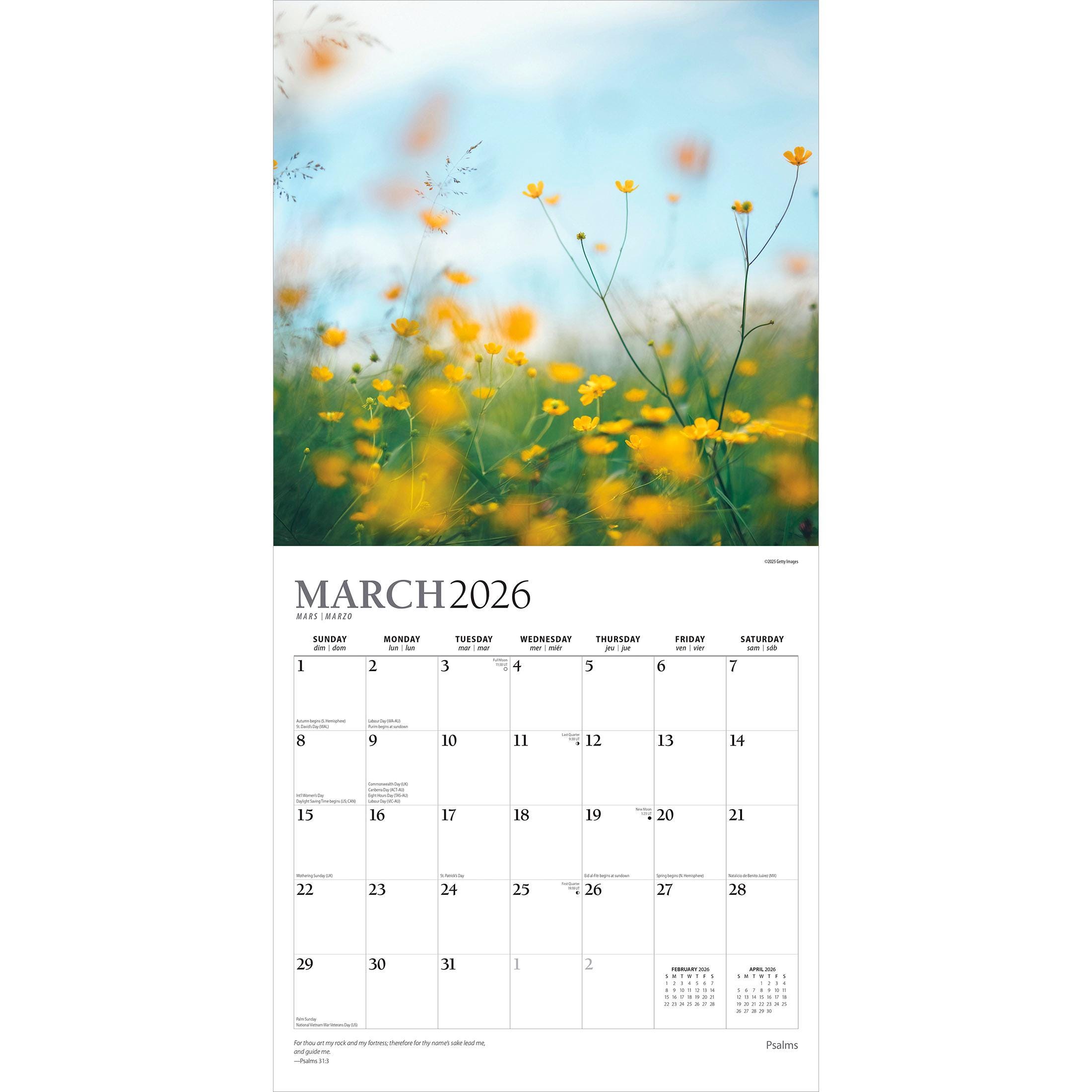 Psalms | 2026 12 X 24 Inch (hanging) Monthly Square Wall Calendar ...