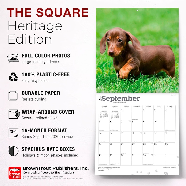 May include: A 2027 wall calendar titled THE SQUARE Heritage Edition featuring a brown dachshund puppy on the September page. The product details list full-colour photos, plastic-free paper, a wrap-around cover, 16-month format, and spacious date boxes.