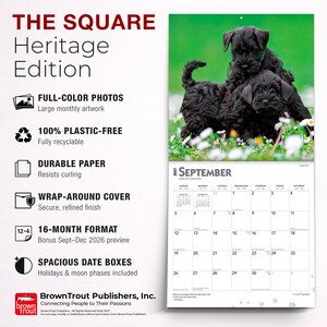 May include: The Square Heritage Edition 16-month wall calendar features full-color photos of black Schnauzer puppies in a grassy field. The layout includes a September 2027 grid with spacious date boxes, holidays, and moon phases, printed on durable paper.