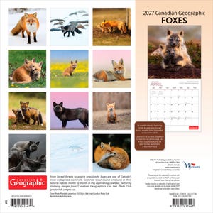 May include: A 2027 Canadian Geographic Foxes wall calendar featuring twelve monthly grid pages and a cover displaying various fox species in natural habitats. The back cover includes a preview of the April page and descriptive text in English and French.