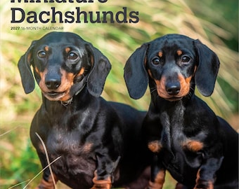 Miniature Dachshunds | 2027 12 x 24 Inch (Hanging) Monthly Square Wall Calendar | Plastic-Free | BrownTrout | Animals Small Dog Breeds