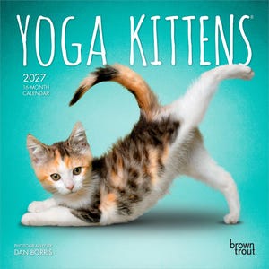 May include: A 2027 16-month wall calendar titled YOGA KITTENS featuring a calico kitten in a yoga pose against a teal background. The cover includes the text YOGA KITTENS, 2027 16-MONTH CALENDAR, PHOTOGRAPHY BY DAN BORRIS, and brown trout.