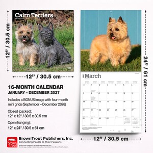 Cairn Terriers | 2027 12 x 24 Inch (Hanging) Monthly Square Wall Calendar | Plastic-Free | BrownTrout | Animals Dog Breeds image 7