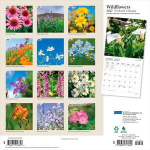 K&ouml;nnte beinhalten: Ein 16-monatiger Wandkalender f&uuml;r 2027 mit dem Titel Wildflowers, der zw&ouml;lf Monatsbl&auml;tter und ein Titelbild mit wei&szlig;en Calla-Lilien enth&auml;lt. Jeder Monat zeigt ein anderes Blumenfoto mit Ortsangaben, darunter Sonnenhut, Lupinen und Mohnblumen.