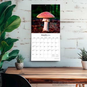 May include: A wall calendar for March 2026 with a picture of a red and white mushroom. The calendar includes a quote and a grid of dates. The calendar is hanging on a white brick wall.