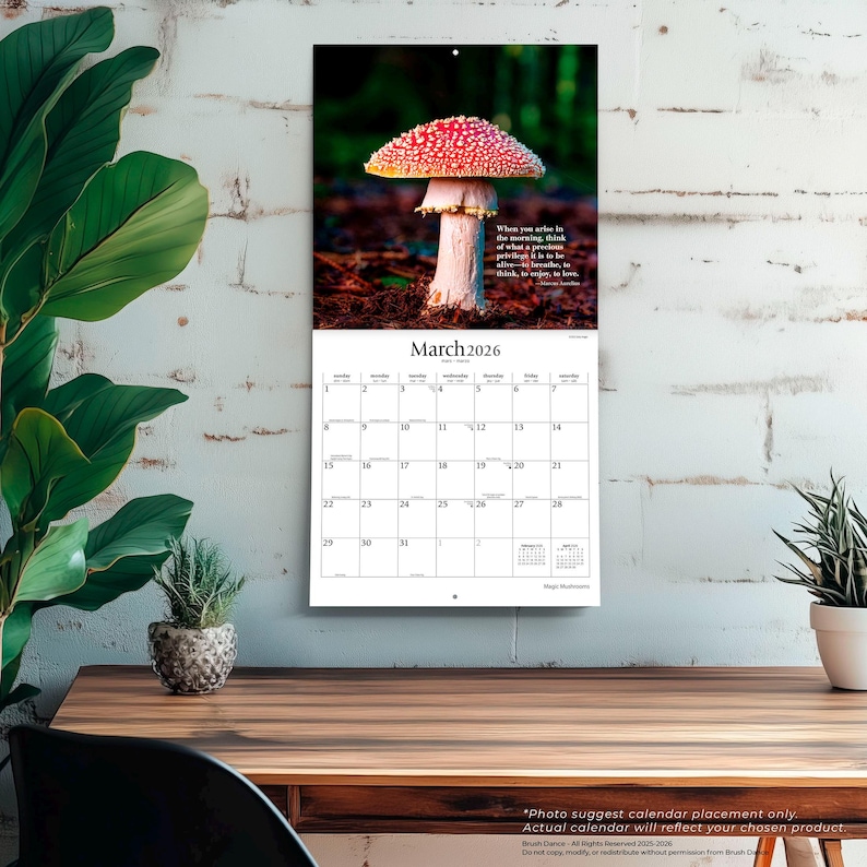 May include: A wall calendar for March 2026 with a picture of a red and white mushroom. The calendar includes a quote and a grid of dates. The calendar is hanging on a white brick wall.
