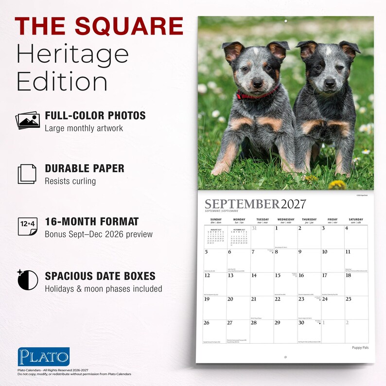 Puede incluir: Un calendario de pared de 16 meses titulado The Square Heritage Edition con fotos a todo color de dos cachorros de pastor ganadero australiano en la hierba. La p&aacute;gina de septiembre de 2027 muestra una cuadr&iacute;cula con casillas espaciosas.