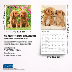 May include: A 2027 16-month mini calendar featuring puppy photography. The closed calendar measures 7 inches by 7 inches, and the open calendar measures 7 inches by 14 inches. It includes a bonus image and mini grids for September through December 2026.