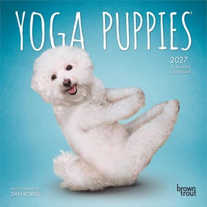 Może przedstawiać: 16-miesięczny kalendarz ścienny na rok 2027 pod tytułem YOGA PUPPIES, przedstawiający puszystego białego szczeniaka w siedzącej pozycji jogi na jednolitym jasnoniebieskim tle. Okładka zawiera zdjęcia Dana Borrisa oraz logo marki BrownTrout.