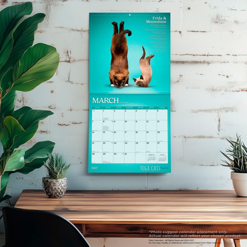 Yoga Cats Together OFFICIAL | 2027 12 x 24 Inch (Hanging) Monthly Square Wall Calendar | Plato | Animals Humor Pets bild 5