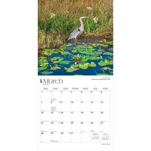 Puede incluir: Una p&aacute;gina de calendario de marzo de 2023 con una garza azul en un estanque con nen&uacute;fares. El calendario tiene un fondo blanco con el nombre del mes y las fechas en negro.