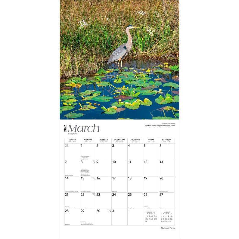 Puede incluir: Una p&aacute;gina de calendario de marzo de 2023 con una garza azul en un estanque con nen&uacute;fares. El calendario tiene un fondo blanco con el nombre del mes y las fechas en negro.