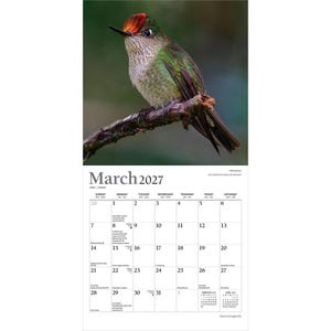 K&ouml;nnte beinhalten: Ein Wandkalender f&uuml;r M&auml;rz 2027 mit einer Fotografie eines Kolibris mit gr&uuml;nen Federn und einer leuchtend roten Krone, der auf einem braunen Ast sitzt. Das Kalenderraster zeigt den Monat, die Wochentage und die Daten mit kleinen Textanmerkungen.