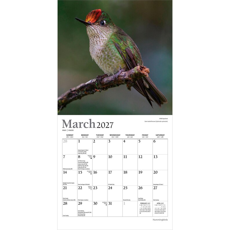 K&ouml;nnte beinhalten: Ein Wandkalender f&uuml;r M&auml;rz 2027 mit einer Fotografie eines Kolibris mit gr&uuml;nen Federn und einer leuchtend roten Krone, der auf einem braunen Ast sitzt. Das Kalenderraster zeigt den Monat, die Wochentage und die Daten mit kleinen Textanmerkungen.