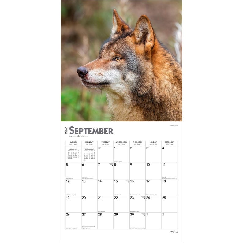 May include: A 2027 wall calendar page for the month of September featuring a high-resolution photograph of a wolf's head in profile. The wolf has brown, gray, and white fur. The calendar grid displays the days of the month in black text.