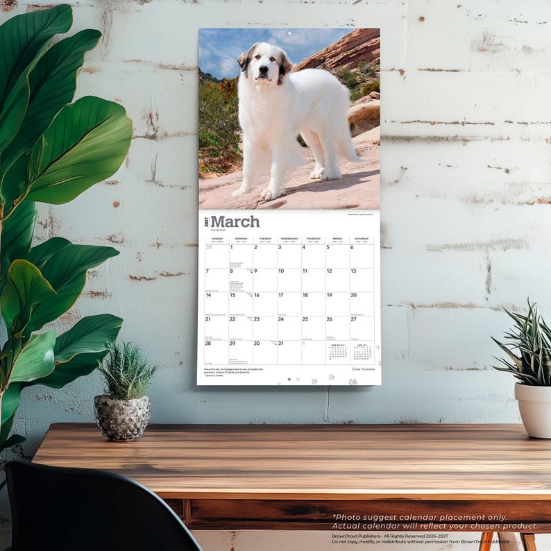 May include: A wall calendar for March 2027 featuring a photograph of a large white dog standing on a rocky landscape. The calendar grid displays the days of the month with the text March 2027 at the top, including small reference calendars for February and April.