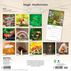 Pode incluir: Um calend&aacute;rio de parede de 16 meses para 2027 intitulado Magic Mushrooms, apresentando doze fotografias de cogumelos distintas para cada m&ecirc;s. A contracapa exibe uma grade das imagens mensais, uma p&aacute;gina de exemplo de abril de 2027 e a marca Earth Friendly.