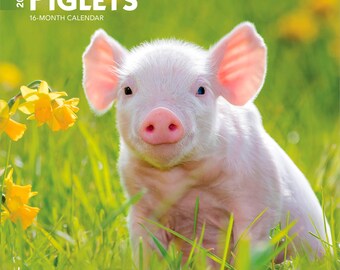 Op de afbeelding: Een 2027 Piglets 16-maandenkalender met een lichtroze biggetje in een veld met groen gras en gele bloemen. De tekst op de omslag luidt 2027 PIGLETS 16-MONTH CALENDAR en bevat het brown trout logo in de linkerbenedenhoek.