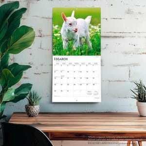 K&ouml;nnte beinhalten: Ein Wandkalender mit einem Foto eines wei&szlig;en Ziegenbabys in einem Feld mit gr&uuml;nem Gras und wei&szlig;en Blumen. Der Kalender ist auf M&auml;rz ge&ouml;ffnet, mit Monatsnamen und Daten sichtbar. Der Kalender h&auml;ngt an einer wei&szlig;en Backsteinmauer.