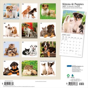 Peut inclure: Un calendrier mural 2027 de 16 mois Kittens & Puppies pr&eacute;sentant douze images mensuelles de divers chatons et chiots interagissant. La couverture arri&egrave;re affiche un aper&ccedil;u de la page d'avril 2027, des informations sur l'&eacute;diteur et un code-barres.