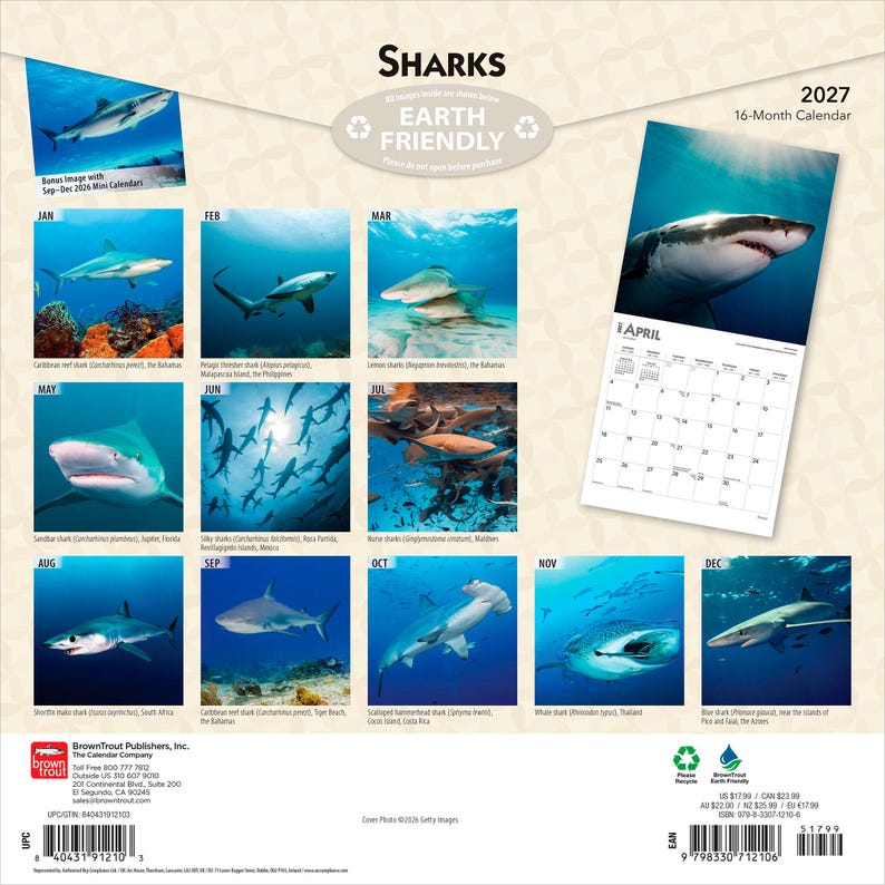 Puede incluir: Un calendario de pared de 16 meses para 2027 titulado Sharks, que presenta doce fotograf&iacute;as submarinas distintas de varias especies de tiburones. La contraportada muestra una cuadr&iacute;cula de im&aacute;genes mensuales, una p&aacute;gina de abril y un c&oacute;digo de barras.