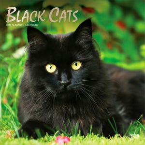 Może przedstawiać: 16-miesięczny kalendarz na 2027 rok zatytułowany Black Cats, przedstawiający długowłosego czarnego kota z jasnymi żółtymi oczami odpoczywającego w zielonej trawie. Okładka zawiera tekst Black Cats 2027 16-Month Calendar oraz logo BrownTrout.