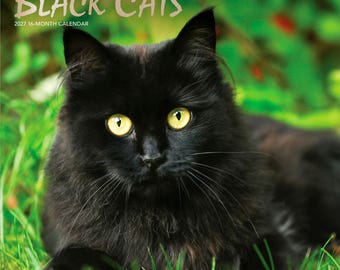Black Cats | 2027 12 x 24 Inch (Hanging) Monthly Square Wall Calendar | Foil Stamped Cover | Plastic-Free | BrownTrout | Animals Kittens