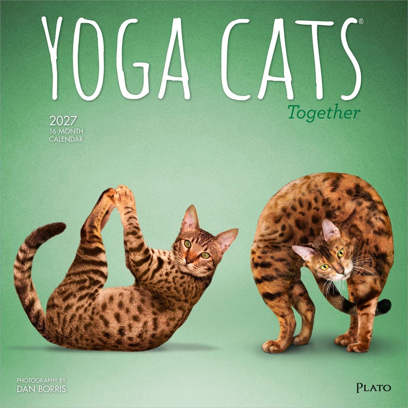 Yoga Cats Together OFFICIAL | 2027 12 x 24 Inch (Hanging) Monthly Square Wall Calendar | Plato | Animals Humor Pets bild 1