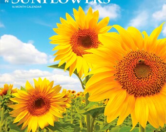 Sunflowers | 2027 12 x 24 Inch (Hanging) Monthly Square Wall Calendar | Plastic-Free | BrownTrout | Flower Floral Plant Outdoor Nature