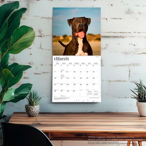 May include: A wall calendar for March 2027 featuring a photograph of a black and white dog with its tongue out. The calendar grid displays the days of the month with the text March 2027 at the top. The calendar is printed on white paper.