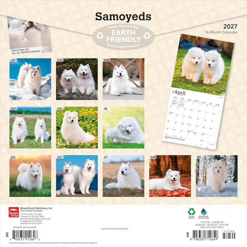 Puede incluir: Un calendario de pared de 16 meses para 2027 titulado Samoyeds que presenta doce p&aacute;ginas de cuadr&iacute;cula mensual con fotograf&iacute;as de perros Samoyedo blancos en diversos entornos al aire libre, incluyendo nieve, hierba y hojas de oto&ntilde;o, con c&oacute;digo de barras.
