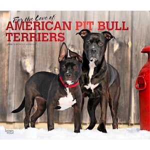 May include: A 2026 16-month calendar featuring two American Pit Bull Terriers. One dog wears a red collar and has white markings on its chest. The calendar title reads "For the Love of American Pit Bull Terriers."