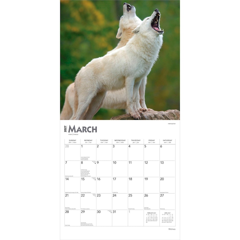 May include: A 2027 wall calendar for the month of March featuring a photograph of two white wolves howling with their mouths open. The calendar grid displays the days of the month from Sunday to Saturday, with the year 2027 printed at the top left.