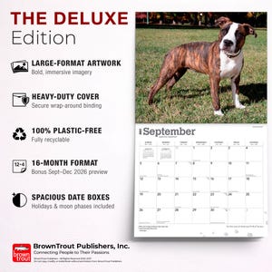 Op de afbeelding: Een wandkalender voor 2027 getiteld The Deluxe Edition met een gestroomde en witte pitbullterri&euml;r op de septemberpagina. De kalender bevat een 16-maandenformaat, grootformaat illustraties, een stevige kaft en ruime datumvakken met feestdagen.