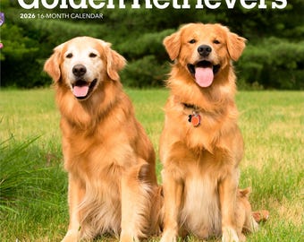 Golden Retrievers | 2026 7 x 14 Inch (Hanging) Monthly Mini Wall Calendar | BrownTrout | Animals Dog Breeds Retriever