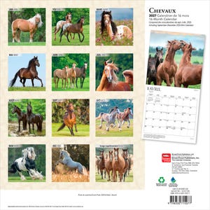 May include: A 2027 16-month wall calendar titled Chevaux featuring various horse photographs for each month. The back cover displays twelve monthly images, a sample April calendar page, and BrownTrout Publishers branding with a barcode.