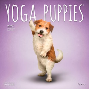 K&ouml;nnte beinhalten: Ein 16-monatiger Kalender f&uuml;r 2027 mit dem Titel Yoga Puppies, der einen wei&szlig;-braunen Welpen zeigt, der auf seinen Hinterbeinen vor einem einfarbigen hellvioletten Hintergrund steht. Der Text Yoga Puppies steht in gro&szlig;en wei&szlig;en Buchstaben oben.