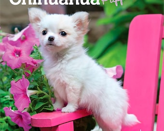 Chihuahua Puppies | 2027 7 x 14 Inch (Hanging) Monthly Mini Wall Calendar | BrownTrout | Animals Small Dog Breeds Puppy