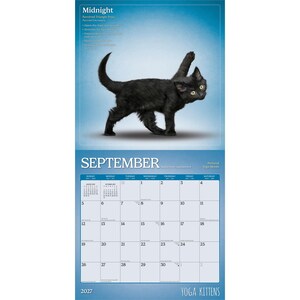 Puede incluir: Un calendario de pared de 2027 titulado Yoga Kittens que muestra un gatito negro en la postura del tri&aacute;ngulo en torsi&oacute;n para el mes de septiembre. El calendario muestra una cuadr&iacute;cula mensual con fechas, d&iacute;as y texto sobre la postura.