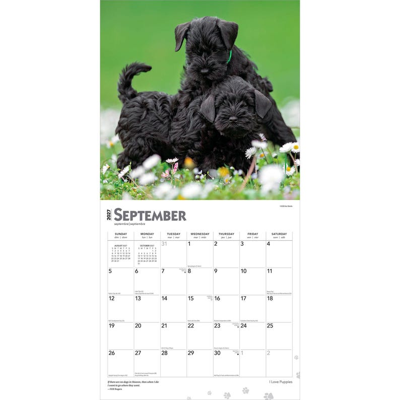May include: A 2027 wall calendar for September featuring a photograph of two black Schnauzer puppies standing in a field of white flowers and green grass. The calendar grid displays the month, days of the week, and dates for September 2027.