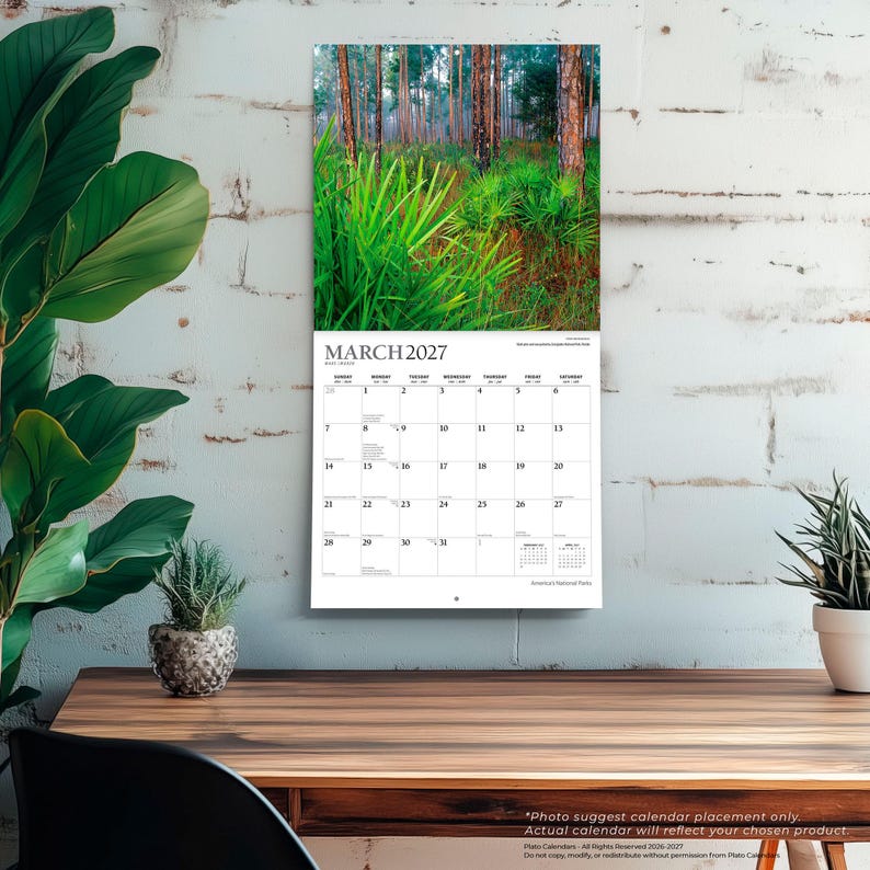 K&ouml;nnte beinhalten: Ein Wandkalender f&uuml;r M&auml;rz 2027 mit einem Foto eines Waldes mit hohen B&auml;umen und gr&uuml;nen Palmettopflanzen. Das Kalenderraster zeigt die Tage des Monats in schwarzer Schrift auf wei&szlig;em Hintergrund, mit kleinen Kalendern f&uuml;r Februar und April.
