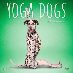 Puede incluir: Un calendario de 16 meses de 2027 titulado "YOGA DOGS" presenta un perro d&aacute;lmata en una postura de yoga sobre un fondo verde. El perro tiene manchas negras y orejas marrones. El calendario es de BrownTrout.
